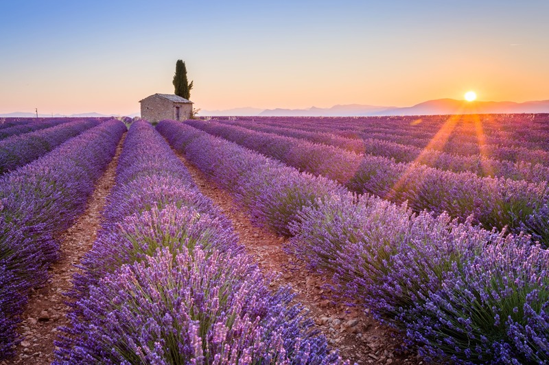 Valensole