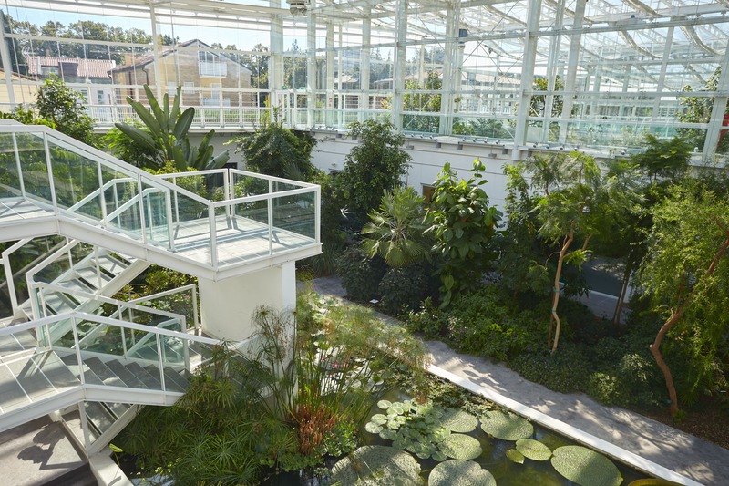 Orto Botanico di Padova interno