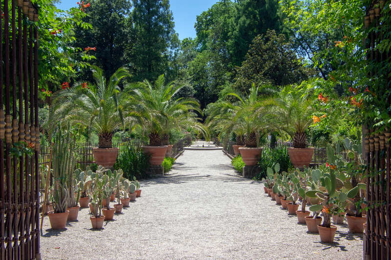 Orto Botanico di Padova piante