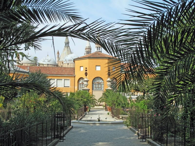 Orto Botanico di Padova