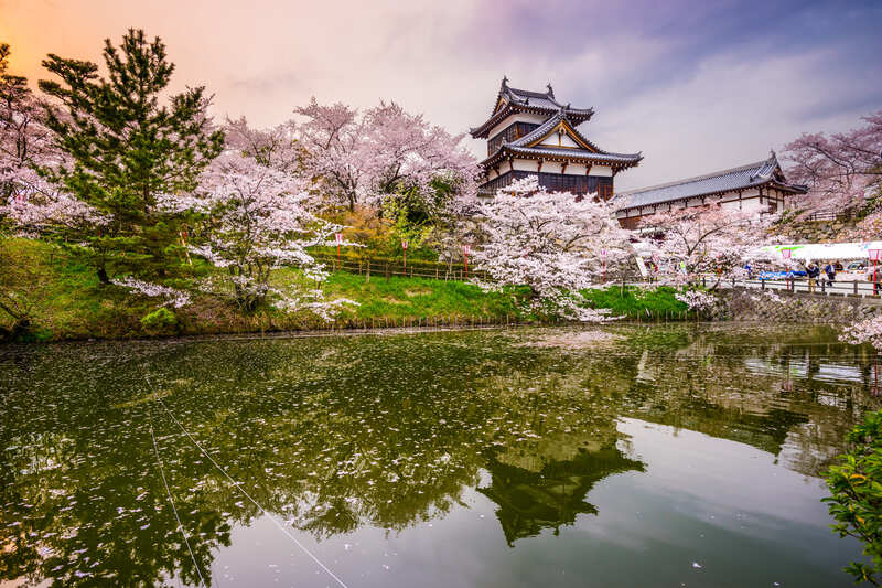 Nara paesaggio con castello e fiori di ciliegio
