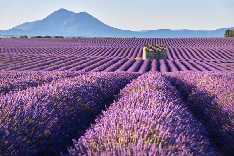 Un viaggio in auto tra Provenza e Camargue cambia ritmo a ogni tappa: Splendida vista di un villaggio costiero francese con…